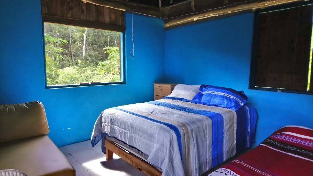 Villa Jungle Oasis Tulum Ferienhaus