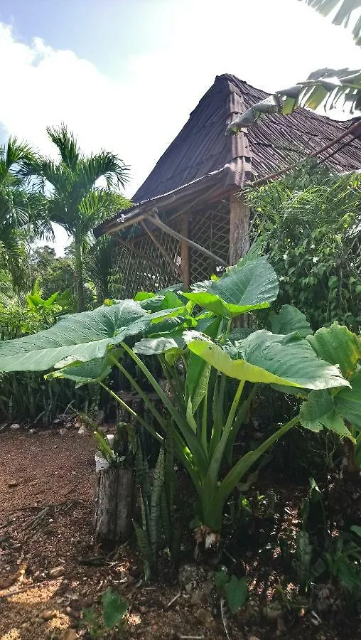 Ferienhaus Villa Jungle Oasis Tulum