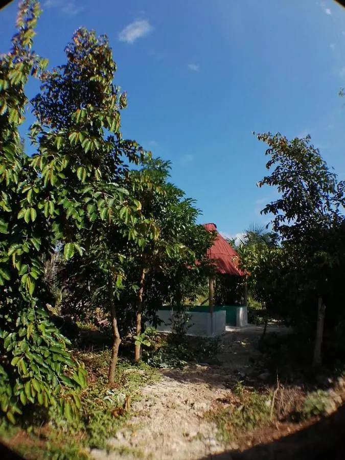 Holiday home Jungle Oasis Villa Tulum