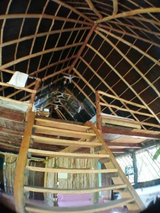 Jungle Oasis Villa Tulum Mexico