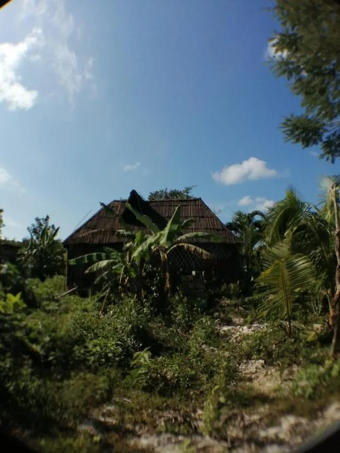 Jungle Oasis Villa Tulum 0*,  Mexico