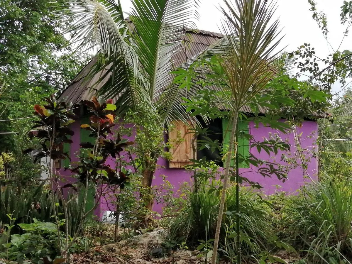 Jungle Oasis Villa Tulum Mexico