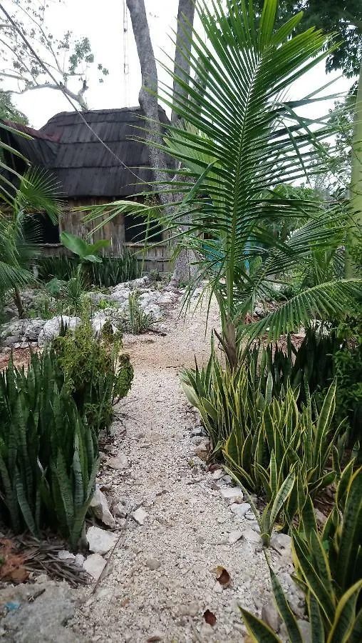 Holiday home Jungle Oasis Villa Tulum Mexico