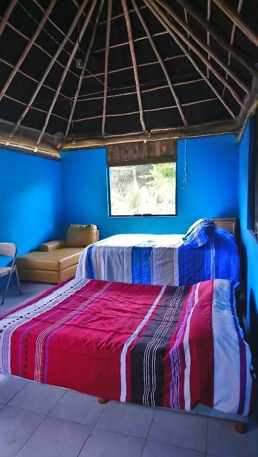 Jungle Oasis Villa Tulum Mexico