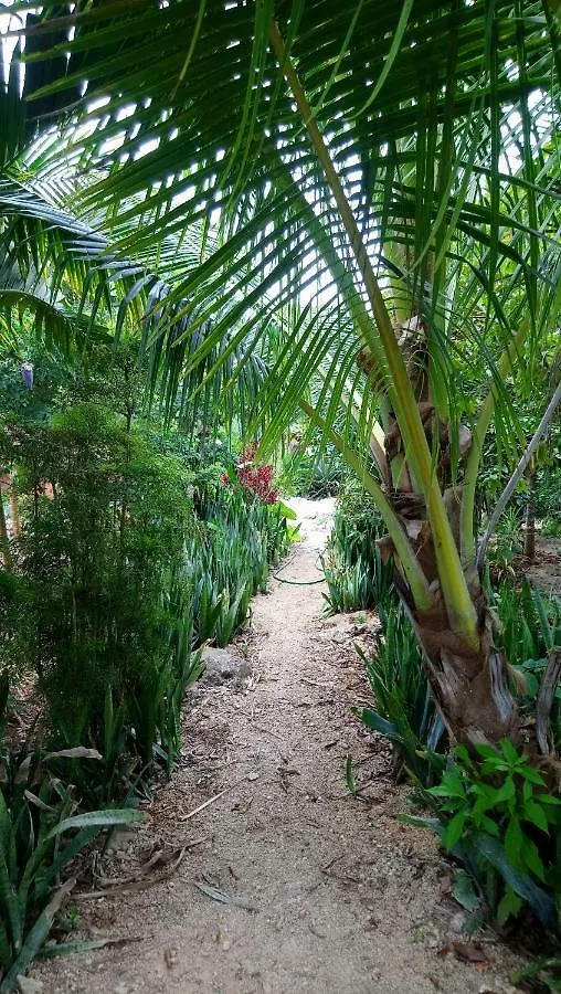 Jungle Oasis Villa Tulum