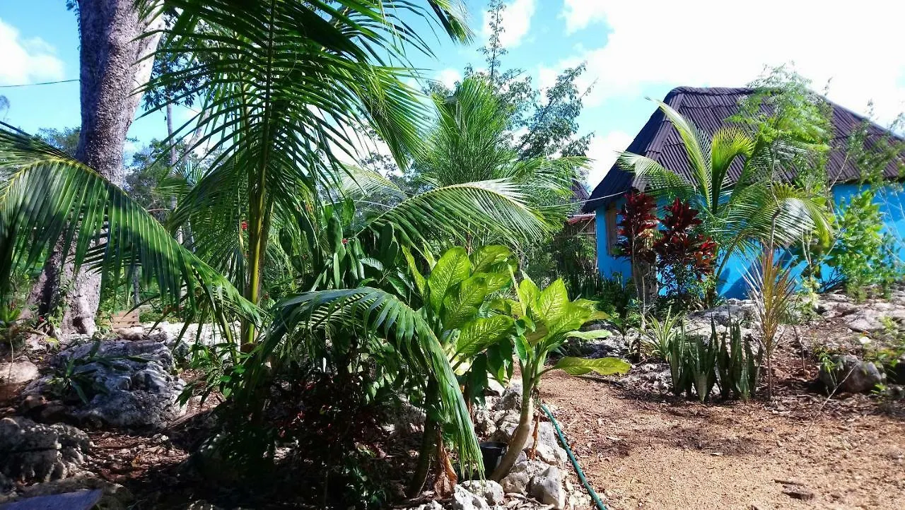 Jungle Oasis Villa Tulum